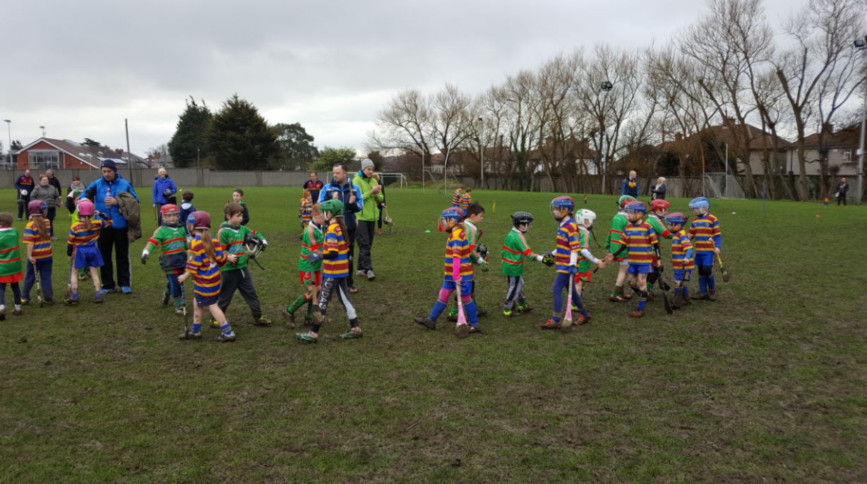 Our Under 8s Hurlers displaying great sportsmanship as they line up to ensure they shake every opposition players hand