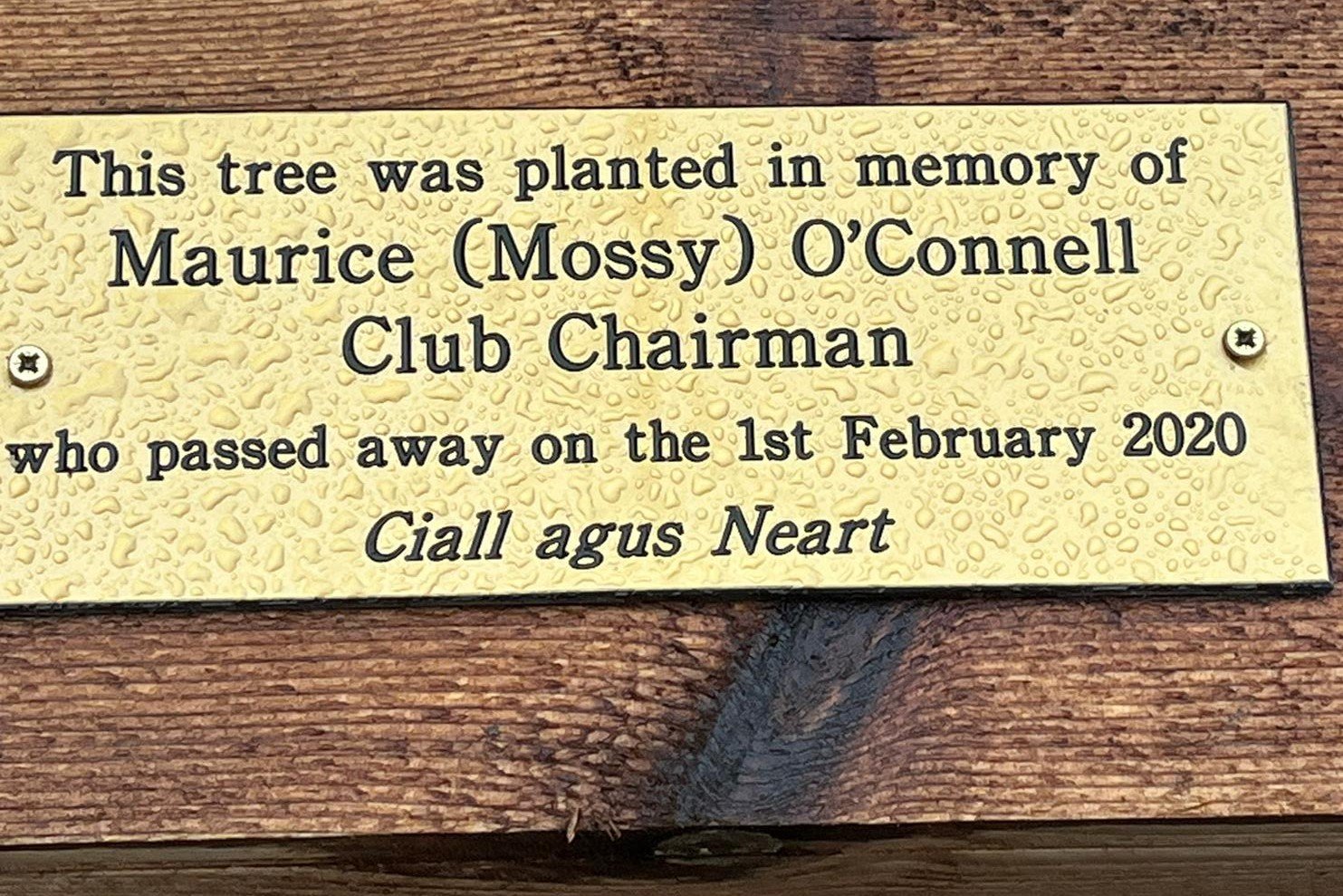 Plaque .jpeg